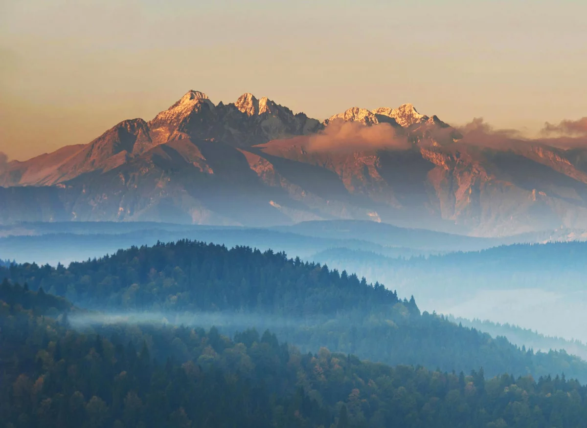 Kto potrzebuje wykonać odbiór elektroodpadów w Białymstoku?