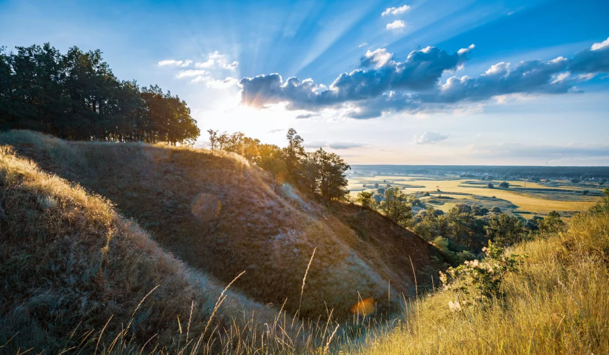 Czy w 2025 zdołasz Oddać elektrośmiecie w Gdańsku?