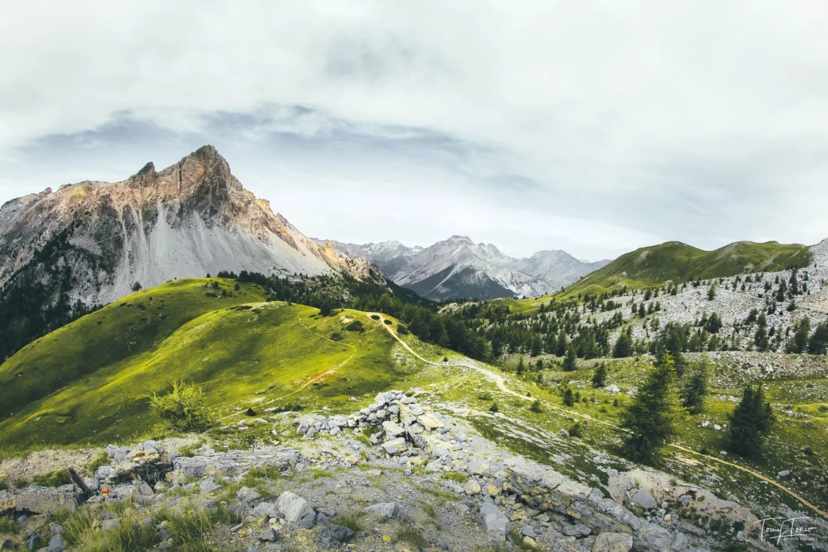 Oni Już Wiedzą Jak opublikować artykuł, Odbierz Dostęp Zanim O 5:5 System Wyłączy Rejestrację