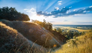 Gdzie pozycjonować?