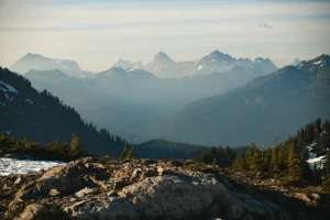 Ciekawe infromacje o tym jak reklamować biznes